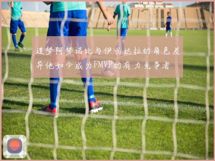 追梦阿努诺比与伊戈达拉的角色差异他如今成为FMVP的有力竞争者